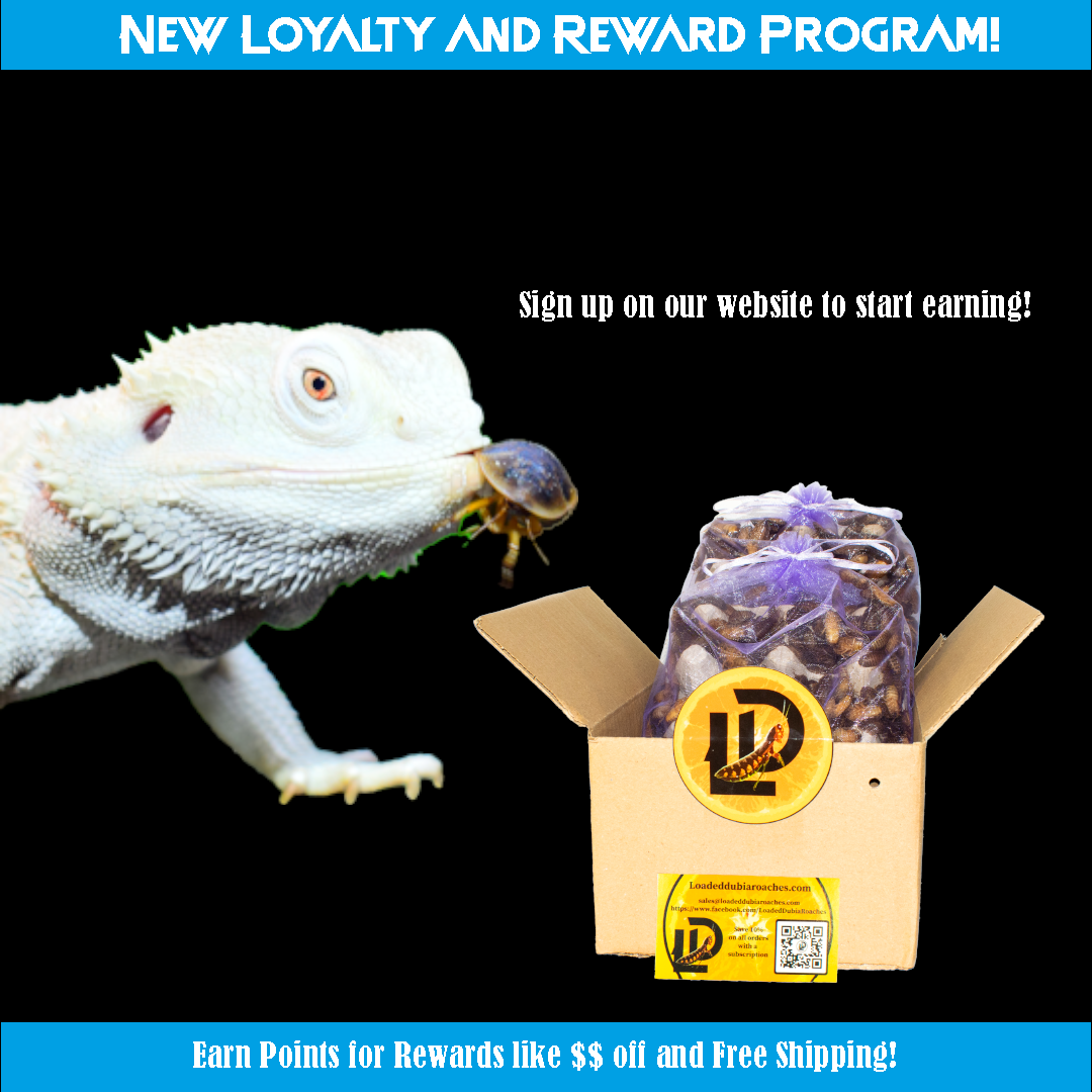 Unlock Exclusive Benefits with Our New Customer Loyalty & Rewards Program!