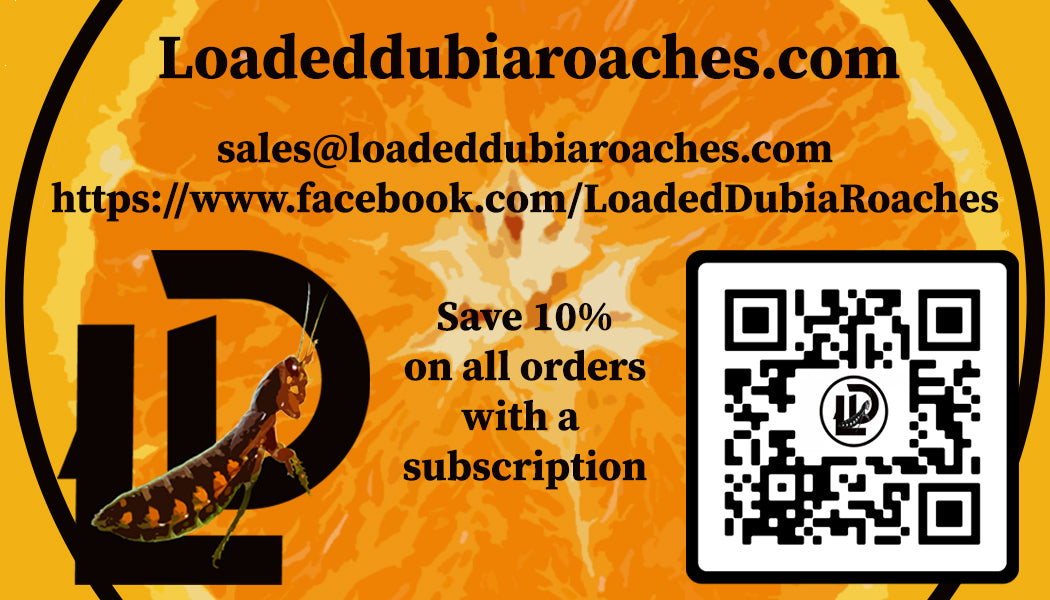 Loaded Dubia Roaches Gift Card